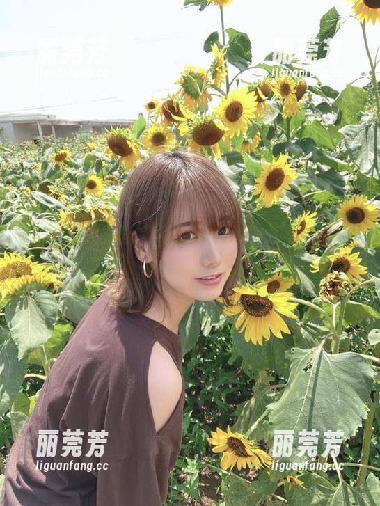 けん研 けん研的图集:bouquet,其实只是一场视觉的游戏。