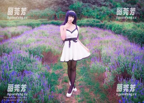 来吧，海贼迷！雨波_HaneAme携波雅·汉库克高清图包，让你不在港口也能把酒言欢！
